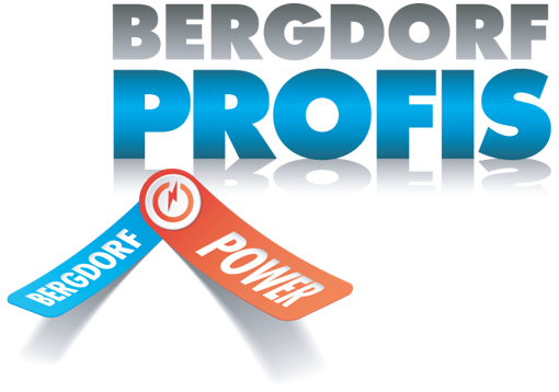 Die Bergdorfprofis